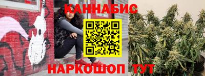 стаф Будённовск