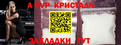 стаф Будённовск