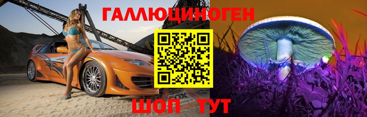 Ипатово  Псилоцибиновые грибы Psilocybe  Вход с VPN 
